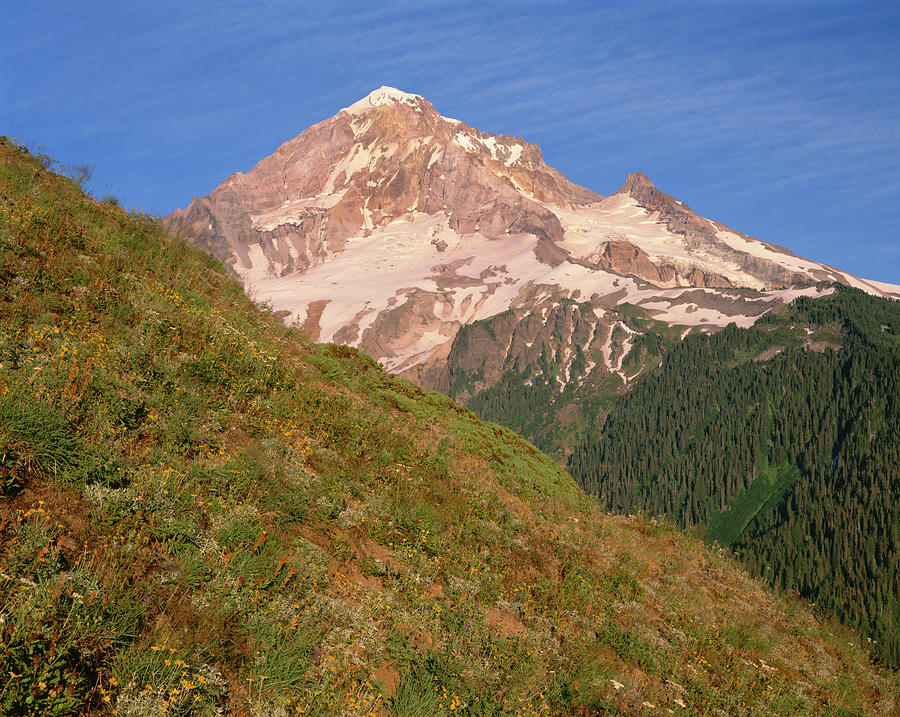 Or, Mount Hood Nf Photograph by John Barger - Fine Art America