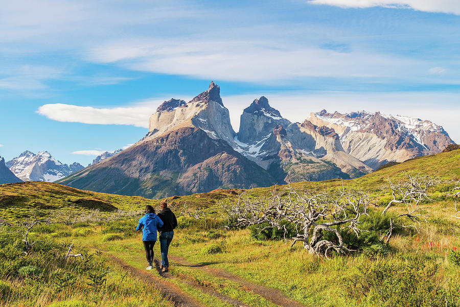 Patagonia, Torres Del Paine Np Digital Art by Jordan Banks | Fine Art ...