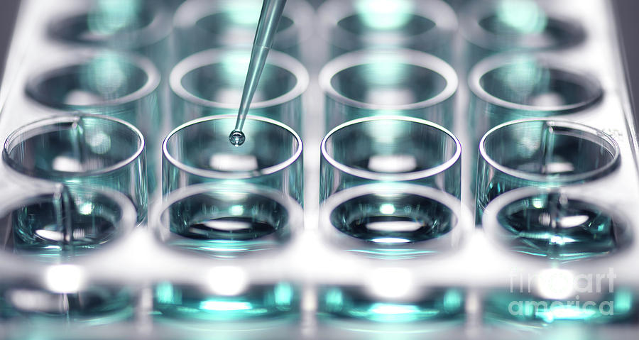 Samples Photograph - Pipetting Sample by Tek Image/science Photo Library Samples Photograph - Pipetting Sample by Tek Image/science Photo Library