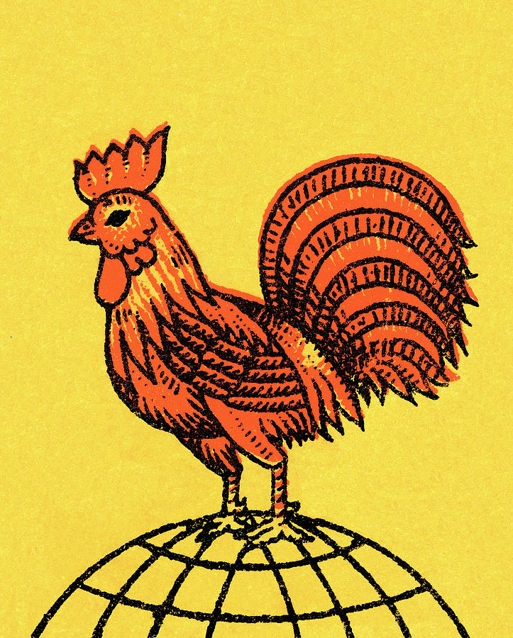 Chicken Drawing - Rooster #10 by CSA Images