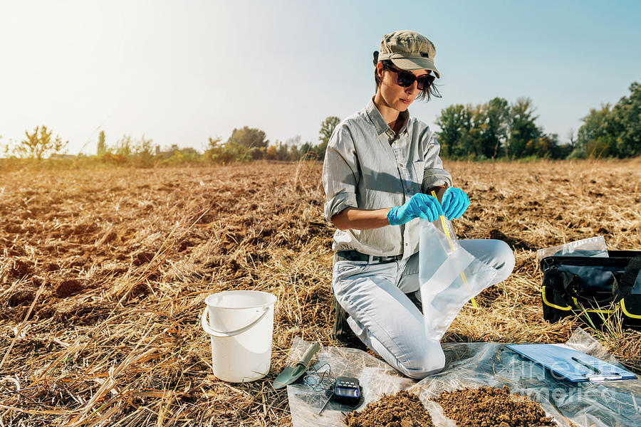 Soil Scientist Taking Soil Sample Photograph By Microgen Images science 