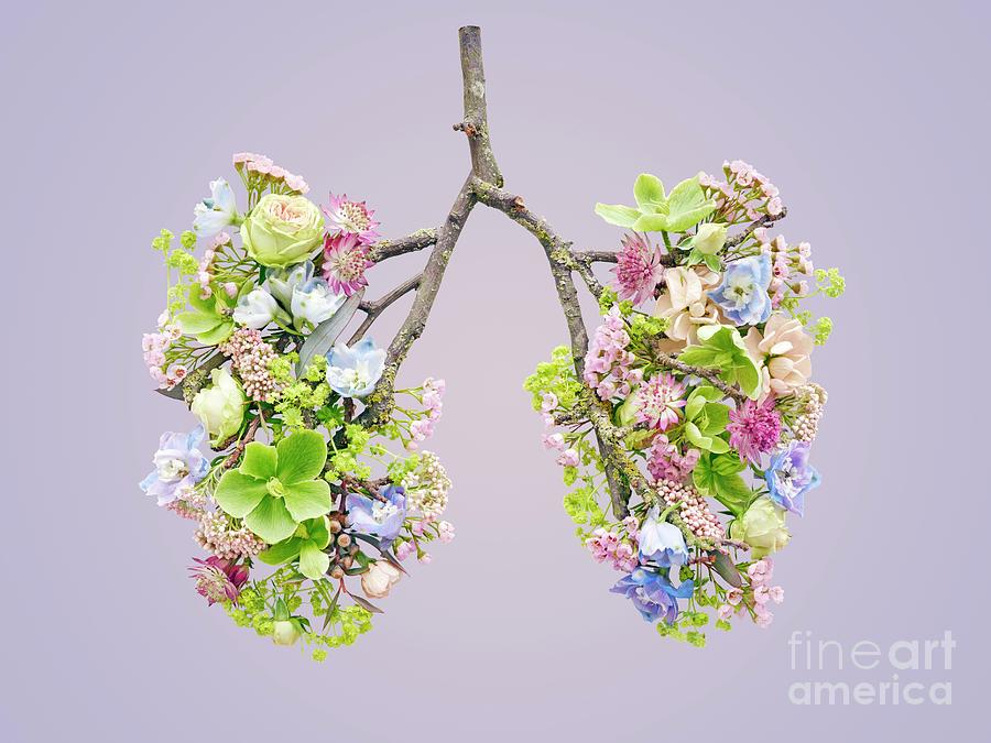 lung with flowers