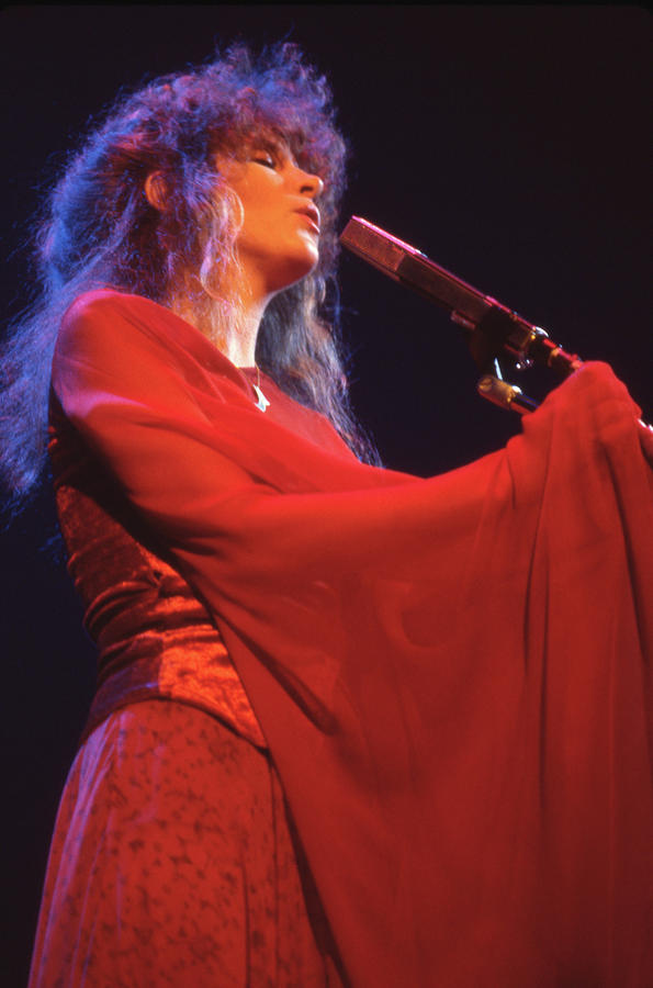 Stevie Nicks Photograph - Stevie Nicks Performance #10 by Mediapunch