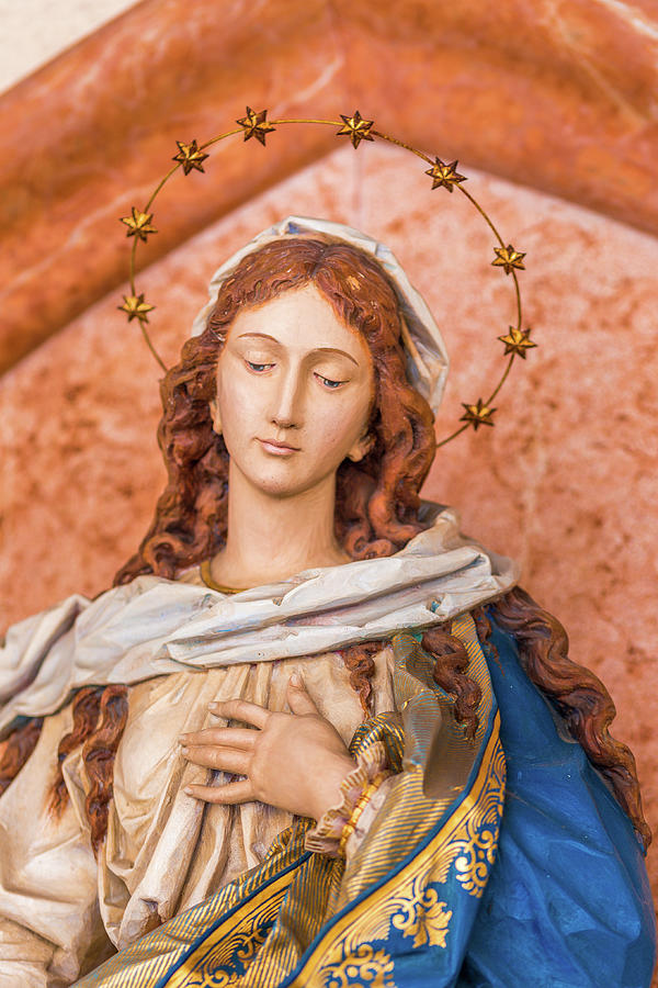 The Blessed Virgin Mary #10 Photograph by Vivida Photo PC