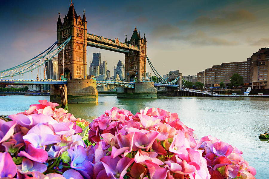 Tower Bridge, London, England #10 Digital Art by Maurizio Rellini