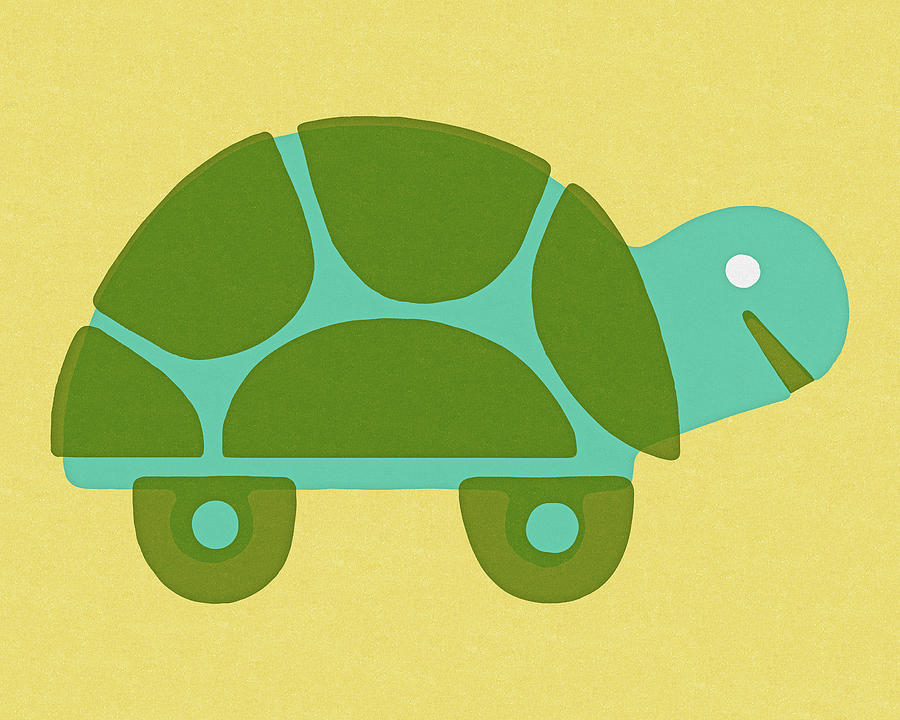 Turtle Drawing - Turtle #10 by CSA Images