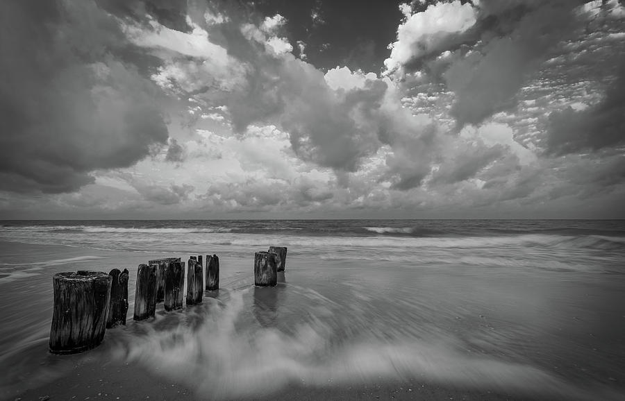 untitled by Bill Martin untitled by Bill Martin