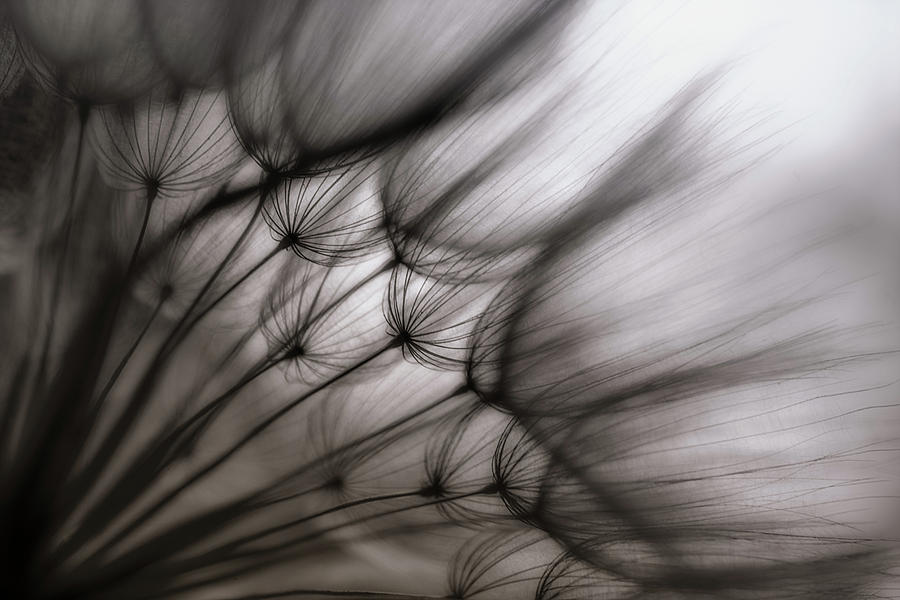 Abstract Photograph - Untitled #10 by Keren Or