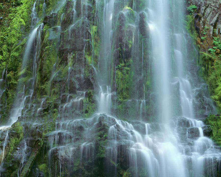 USA, Oregon Willamette National Forest Photograph by John Barger - Fine ...