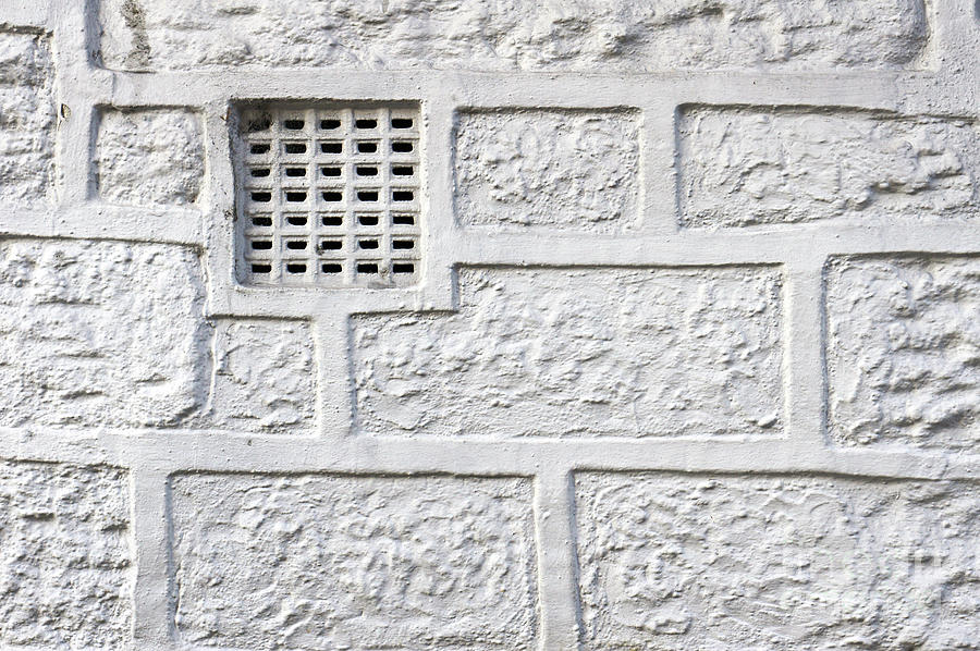 White brick wall #10 Photograph by Tom Gowanlock