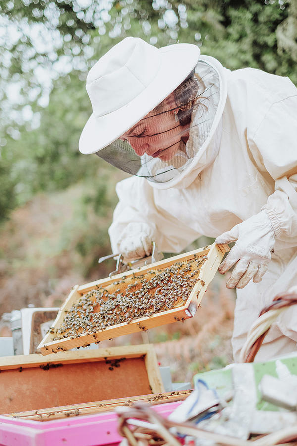 Nature Photograph - Young Woman Beekeeper At Work In A Nature #10 by Cavan Images