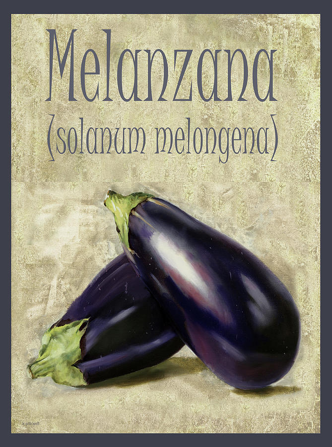 Vegetable Painting - 1014-melanzana Solanum Melongena by Guido Borelli