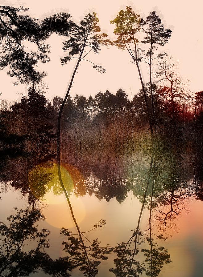 Landscape Photograph - Untitled #104 by Anna Cseresnjes