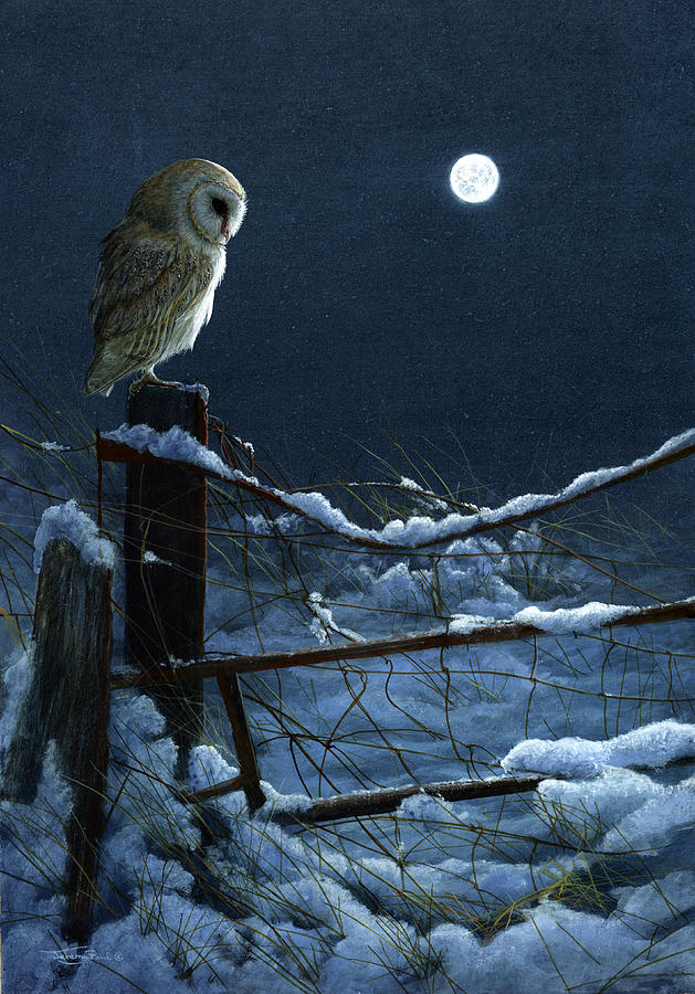 Animal Painting - 1074 Silent Night Barn Owl by Jeremy Paul