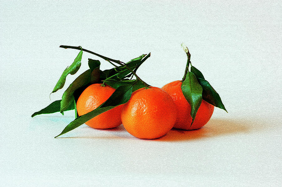 11--01-13 STUDIO. 3 Clementines Photograph by Lachlan Main