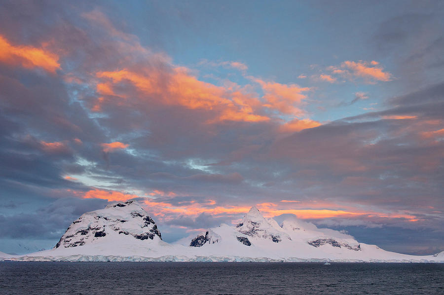 Antarctic Peninsula, Antarctica #11 Photograph by Enrique R. Aguirre Aves