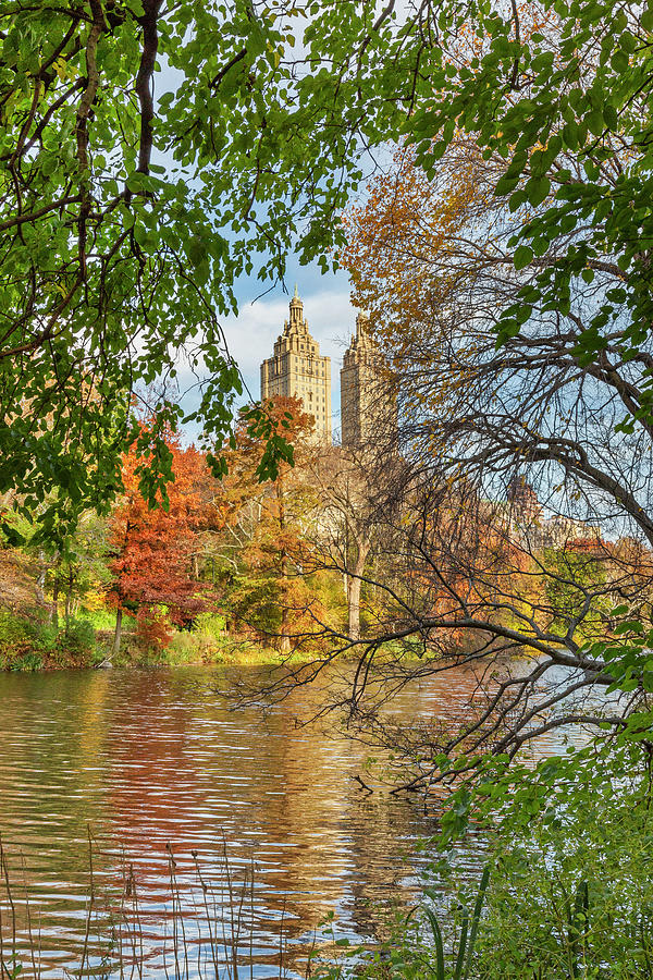 Autumn In Central Park, Nyc #11 Digital Art by Claudia Uripos