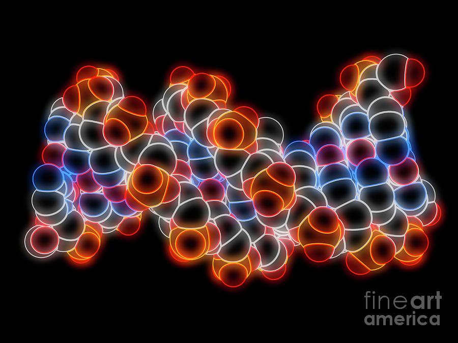 B-dna Molecule #11 By Laguna Design/science Photo Library