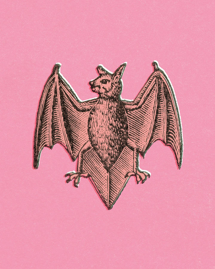 Halloween Drawing - Bat #11 by CSA Images