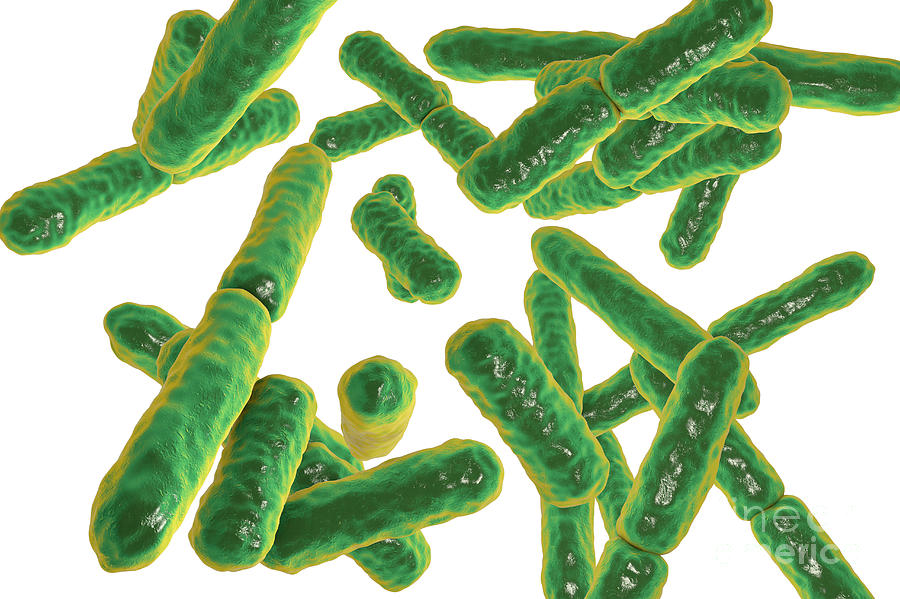 Bacterias intestinales que producen gases