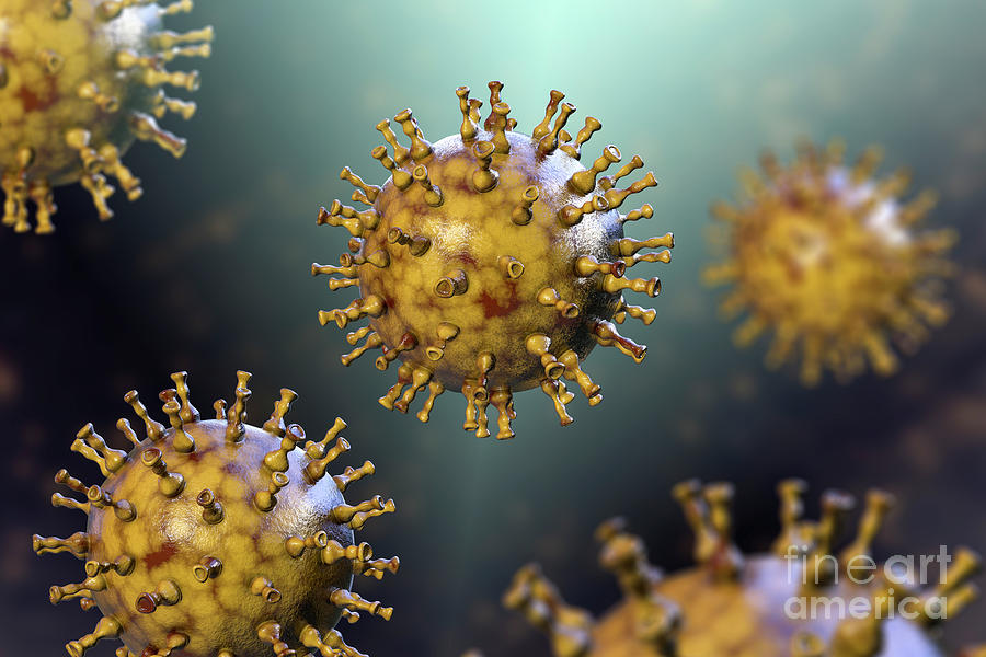 Chickenpox Virus #11 Photograph by Kateryna Kon/science Photo Library