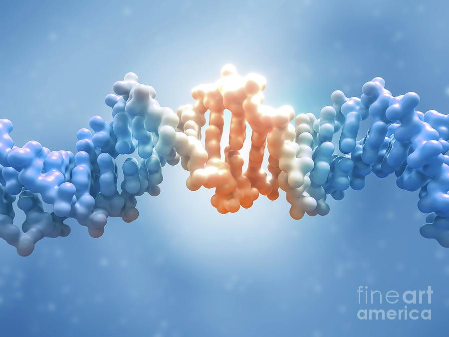 Dna Editing #11 Photograph by Maurizio De Angelis/science Photo Library