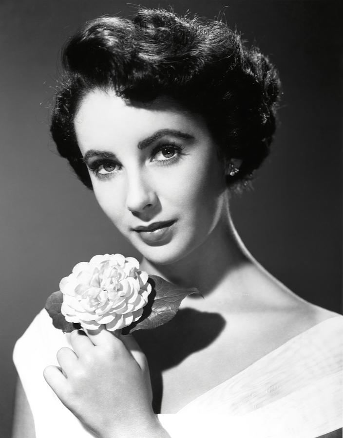 Elizabeth Taylor . Photograph by Album - Fine Art America