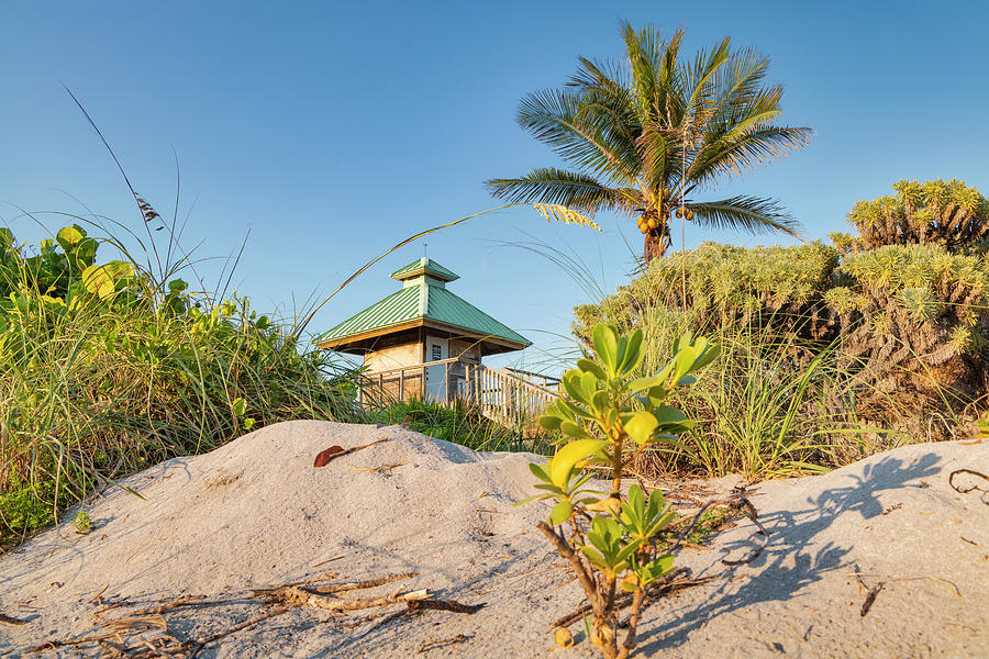 Florida, Boca Raton, Lifeguard Tower With Palm Tree At The Beach #11 Digital Art by Laura Diez