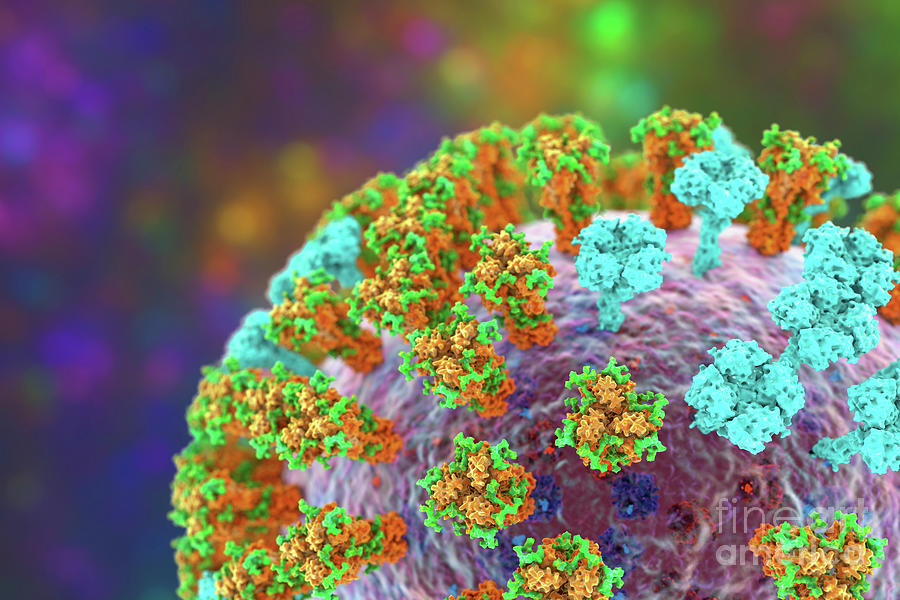 Flu Virus #11 By Kateryna Kon/science Photo Library