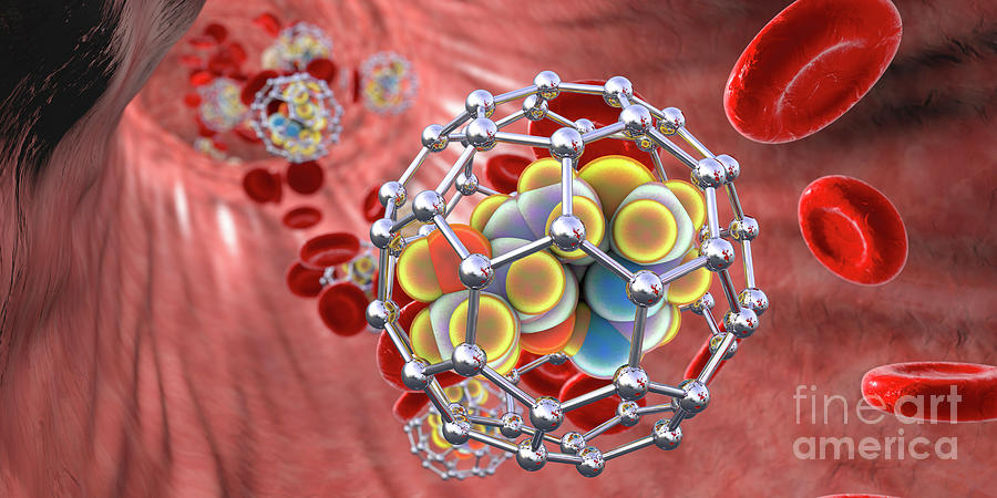 Fullerene Nanoparticles In Blood #11 Photograph by Kateryna Kon/science Photo Library
