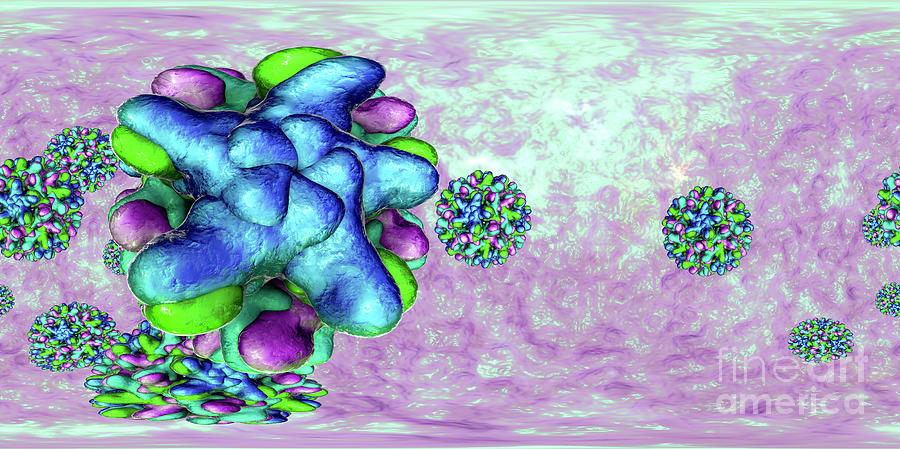 Hepatitis B Virus Particles Photograph By Kateryna Kon/science Photo ...