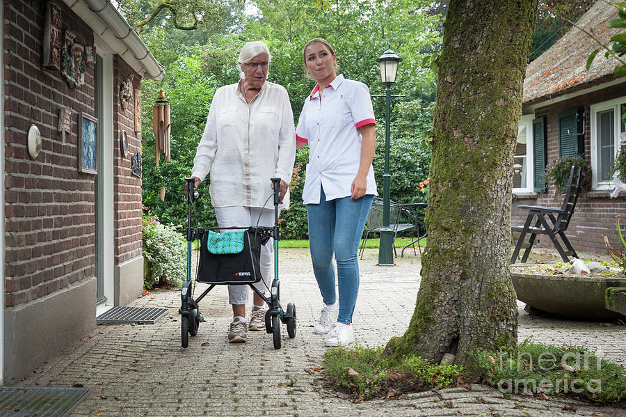 Home Care Nursing #11 Photograph by Arno Massee/science Photo Library