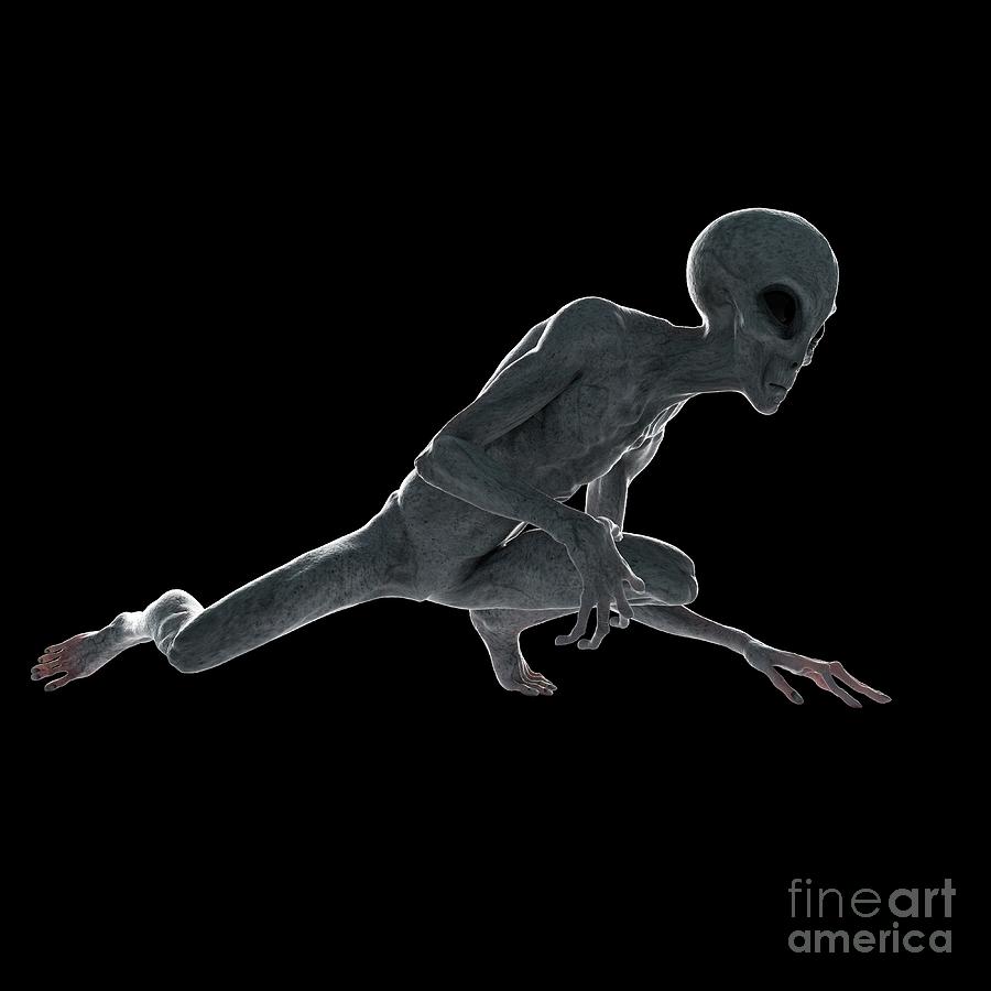 Science Fiction Photograph - Illustration Of A Humanoid Alien #11 by Sebastian Kaulitzki/science Photo Library