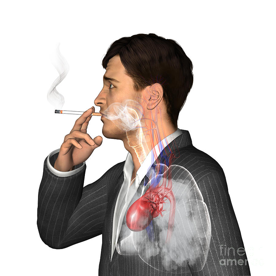 Man Smoking Cigarettes #11 Photograph by Fernando Da Cunha/science Photo Library
