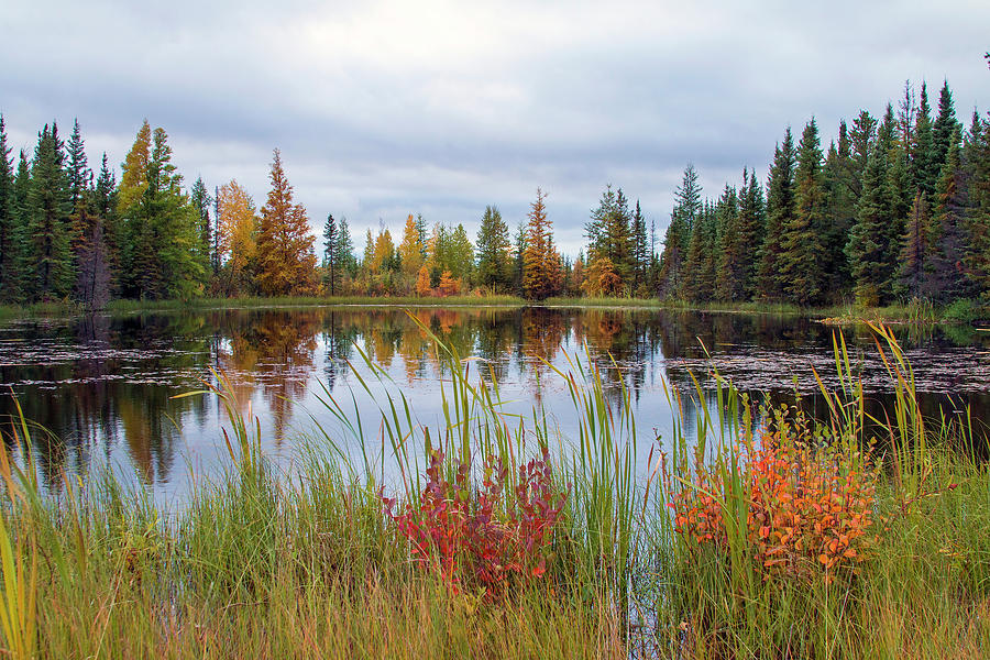 Canadian Colors Photograph by R Dexter Christie | Fine Art America