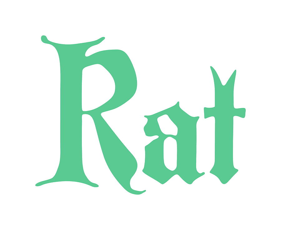 Typography Drawing - Rat #11 by CSA Images