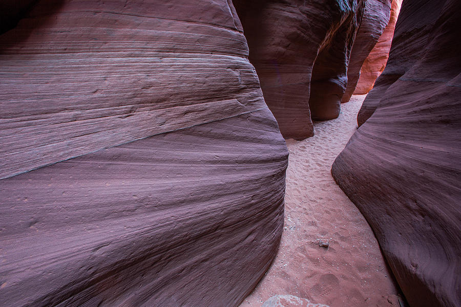 Sand Stone Rock Formation In Sw Usa #11 Photograph by Gavriel Jecan