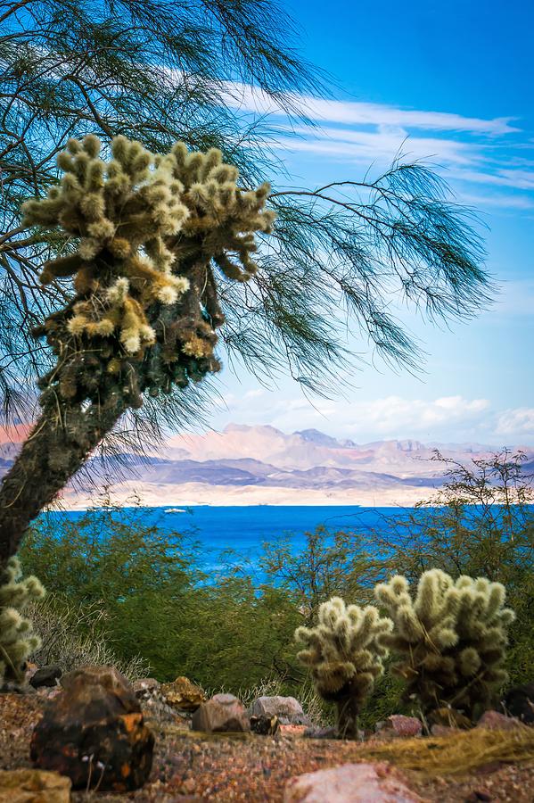 Scenes At Lake Mead Nevada Arizona Stateline #11 Photograph by Alex Grichenko