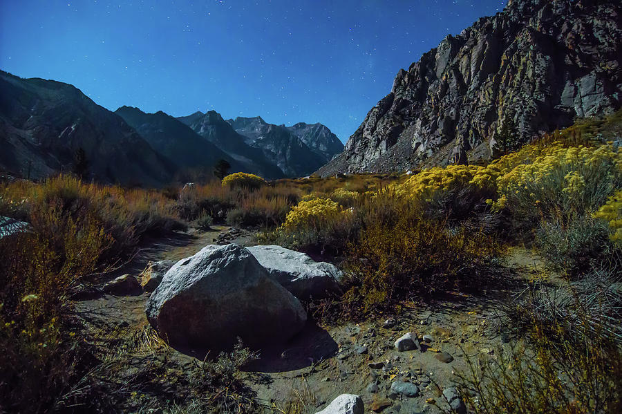 Sierra And Inyo National Forest In California #11 Photograph by Alex Grichenko