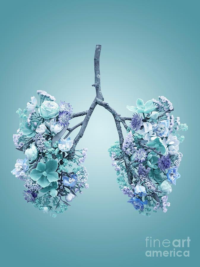Spring Flowers Representing Human Lungs #11 Photograph by Science Photo Library