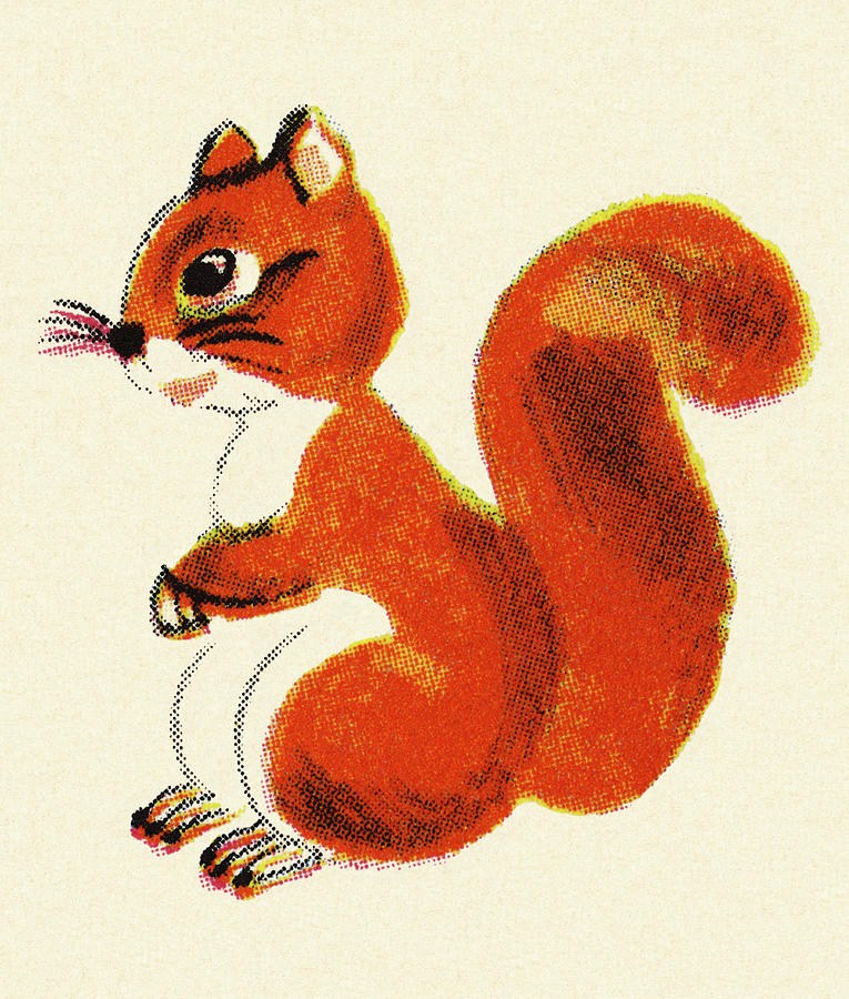 Nature Drawing - Squirrel #11 by CSA Images