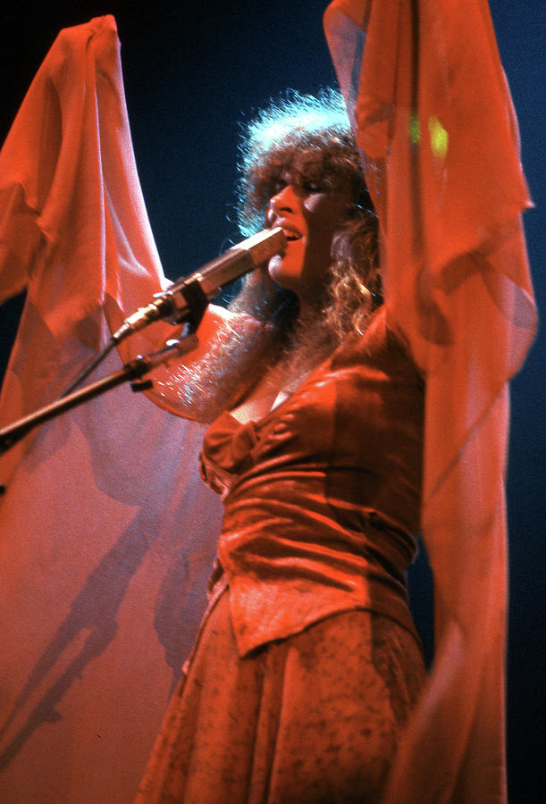 Stevie Nicks Photograph - Stevie Nicks Performance #11 by Mediapunch