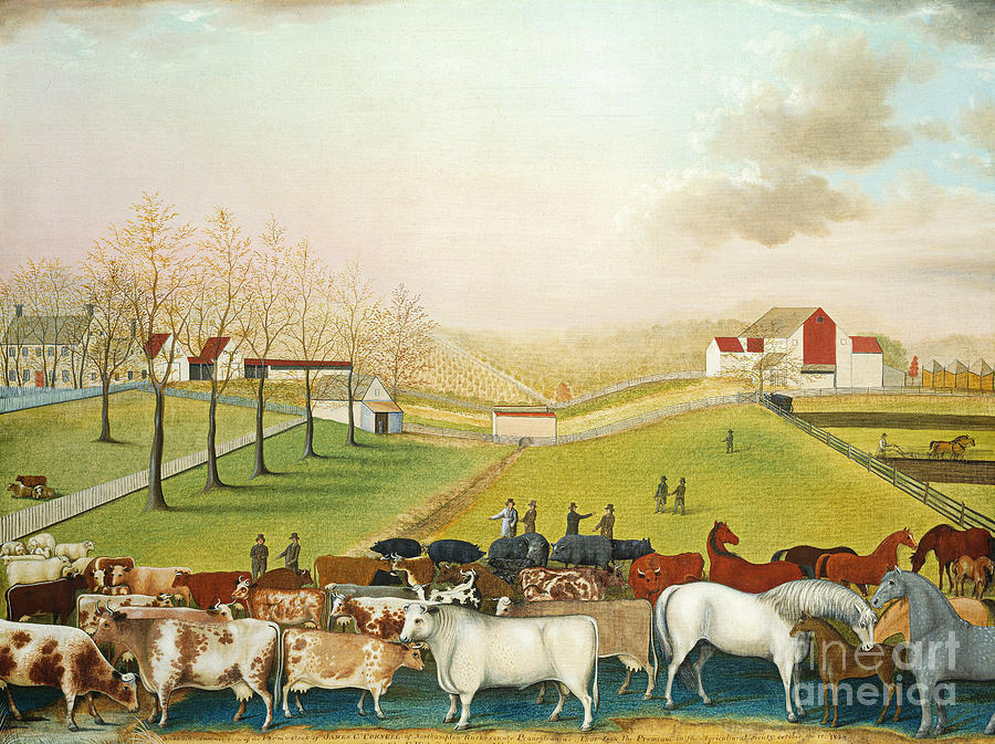 The Cornell Farm Painting by Peter Ogden