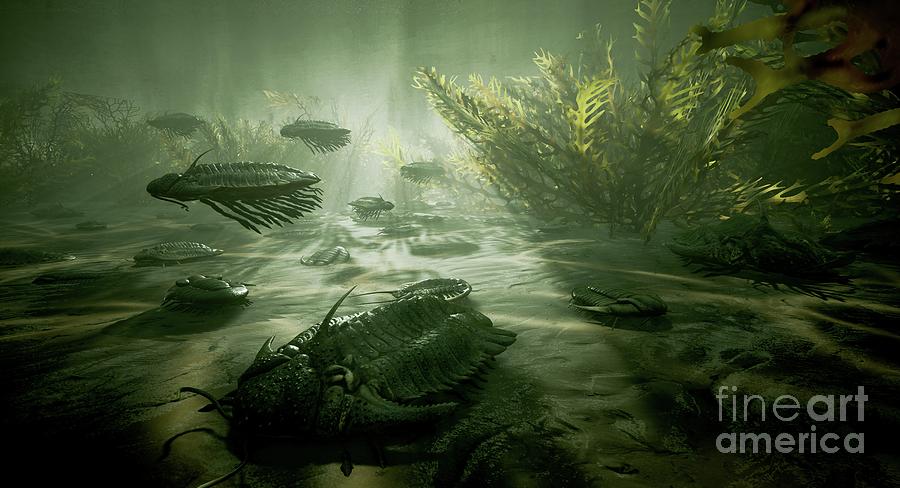 Trilobites In Palaeozoic Sea Photograph by Richard Jones/science Photo ...