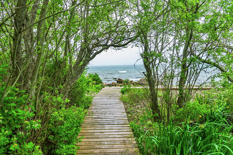 USA, Massachusetts, Cape Ann, Annisquam #11 Photograph by Walter Bibikow USA, Massachusetts, Cape Ann, Annisquam #11 Photograph by Walter Bibikow
