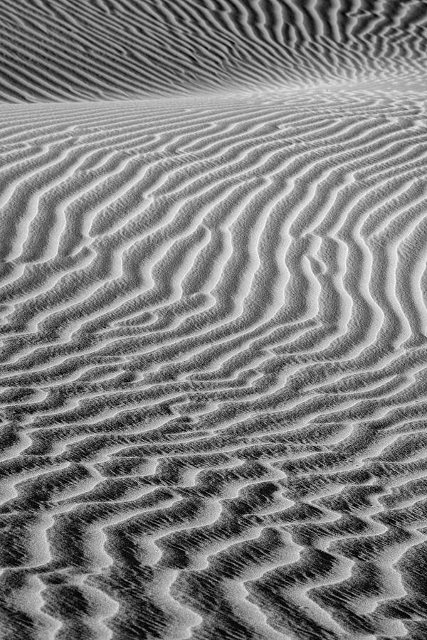 USA, Mojave Trails National Monument Photograph by Judith Zimmerman ...