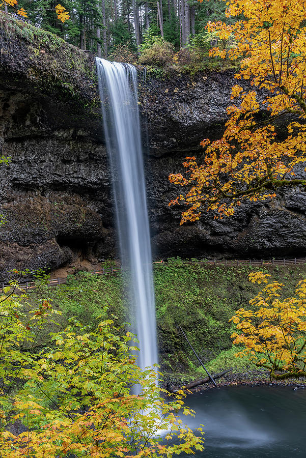 USA, Oregon, Silver Falls State Park Photograph by Jaynes Gallery ...