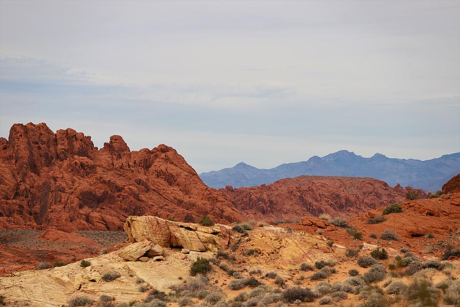 Valley of Fire State Park #11 Photograph by Maria Jansson