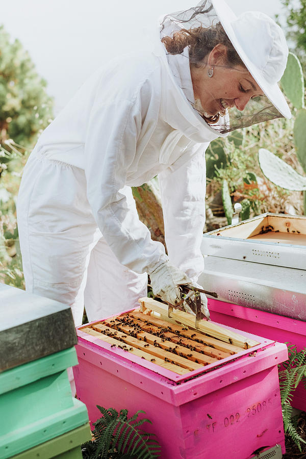 Nature Photograph - Young Woman Beekeeper At Work In A Nature #11 by Cavan Images