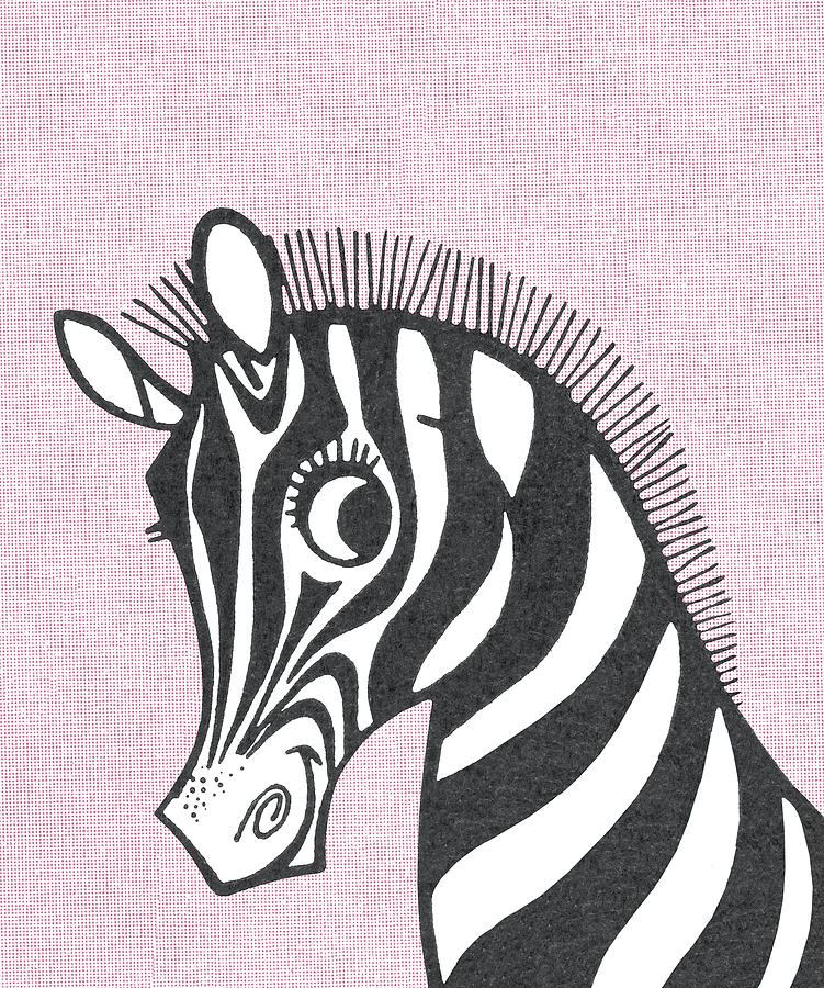 Vintage Drawing - Zebra #11 by CSA Images